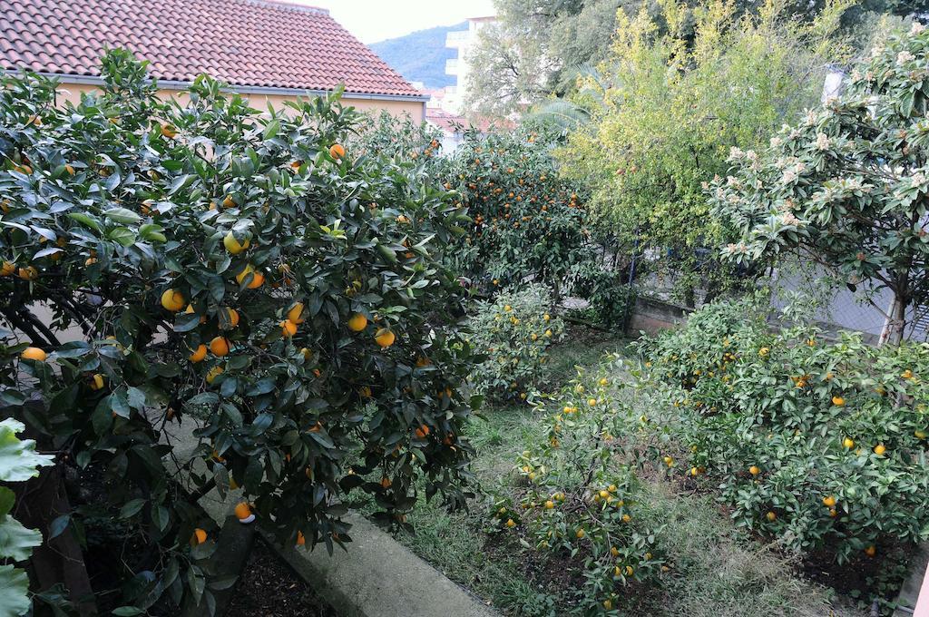 D&R Boreta Apartments Budva Eksteriør bilde